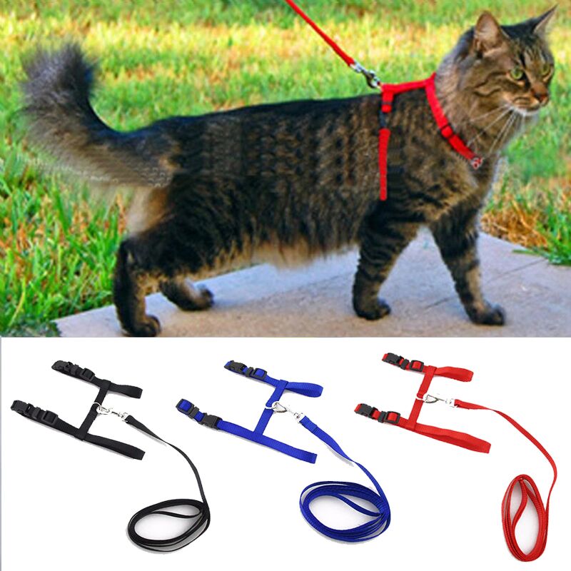 Adjustable Cat Walking Harness
